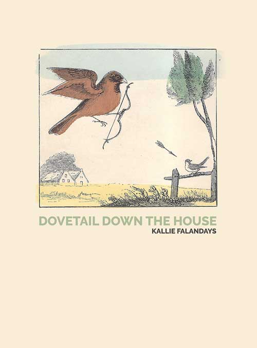Dovetail Down the House cover image