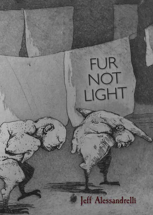 Fur not Light cover image